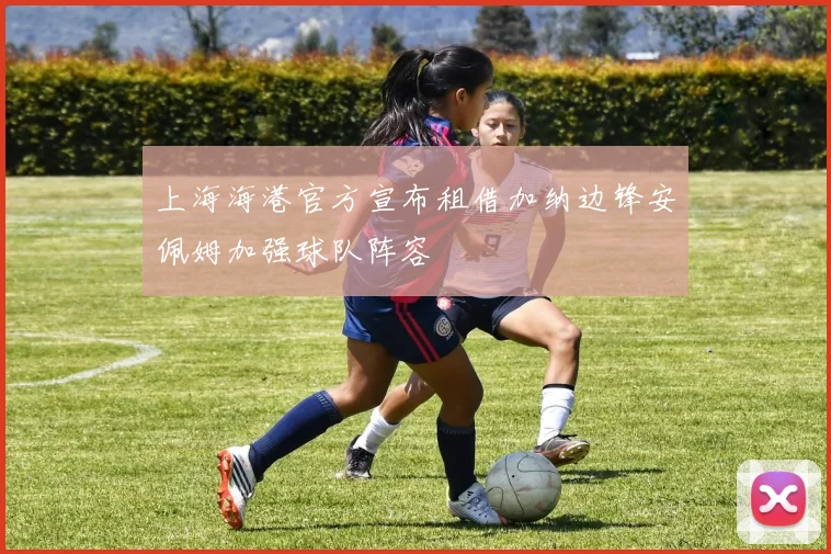 上海海港官方宣布租借加纳边锋安佩姆加强球队阵容