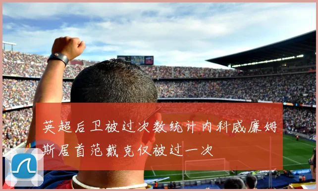英超后卫被过次数统计内科威廉姆斯居首范戴克仅被过一次