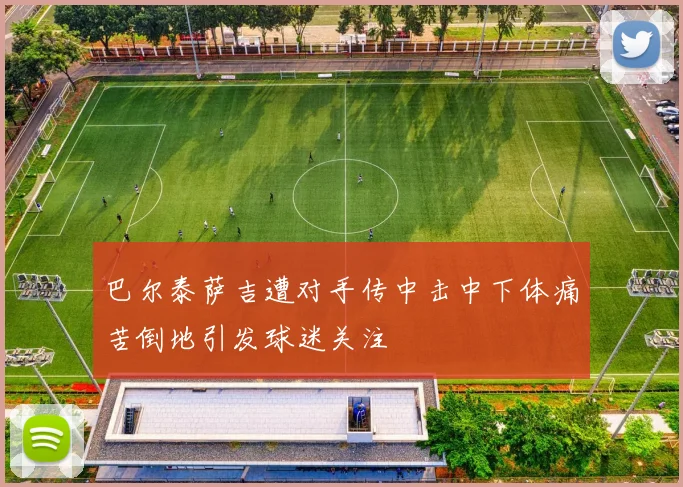 巴尔泰萨吉遭对手传中击中下体痛苦倒地引发球迷关注